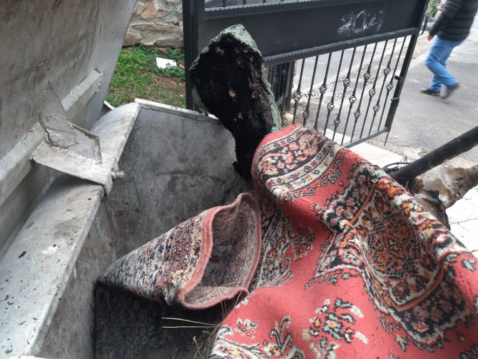 Bursa’da Parktaki Kedi Kulübelerini Yakıp, Çöp Kutularına Zarar Verdiler