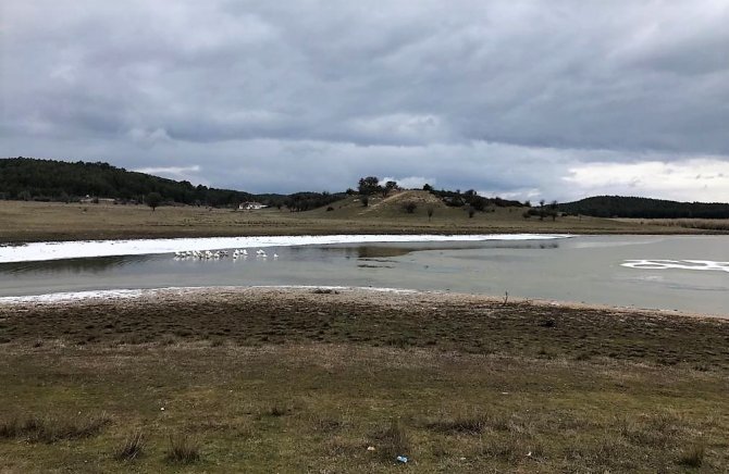 Kısmen Buz Tutan Gölün Keyfini Kazlar Çıkardı