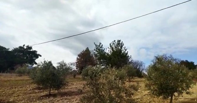 Acemi Hırsızlar