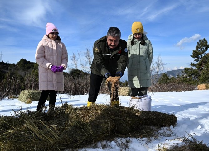 Vali Yılmaz, Çocukları İle Birlikte, Doğaya Yem Bıraktı