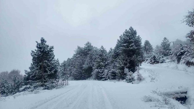 Emet Yeniceköy Tahtalı Gölet’inde Kartpostallık Kar Manzaraları