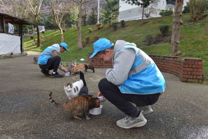 Can Dostlarına ‘Yıldırım’ Şefkat
