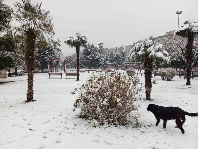 Meteorolojiden Samsun İçin Kuvvetli Kar Yağışı Uyarısı