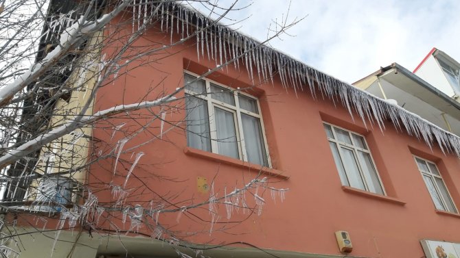 Karla Birlikte Her Şey Buz Tuttu