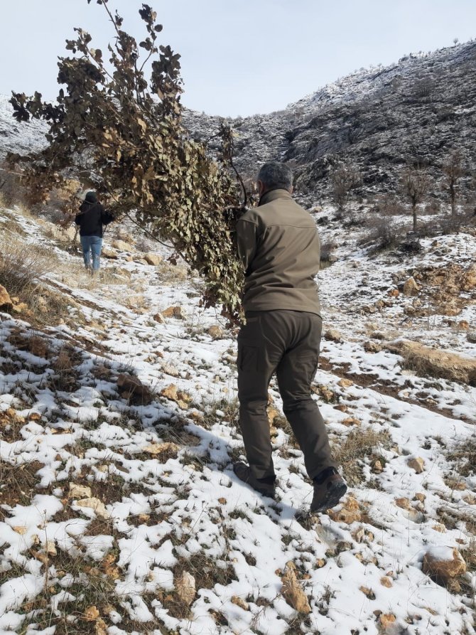 Adıyaman’da Doğaya Yem Bırakıldı