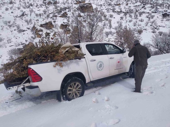 Adıyaman’da Doğaya Yem Bırakıldı