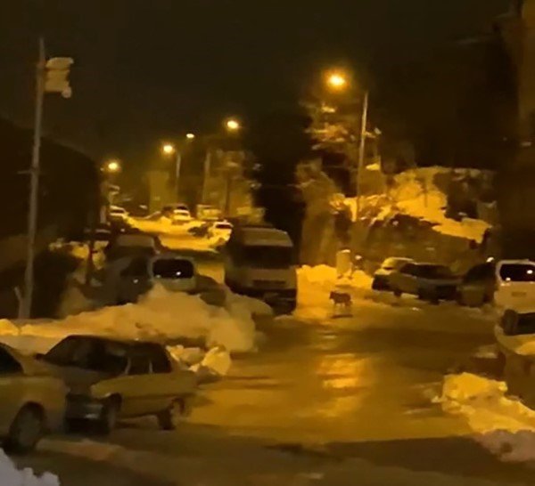 Aç Kalan Kurt İlçe Merkezine İndi