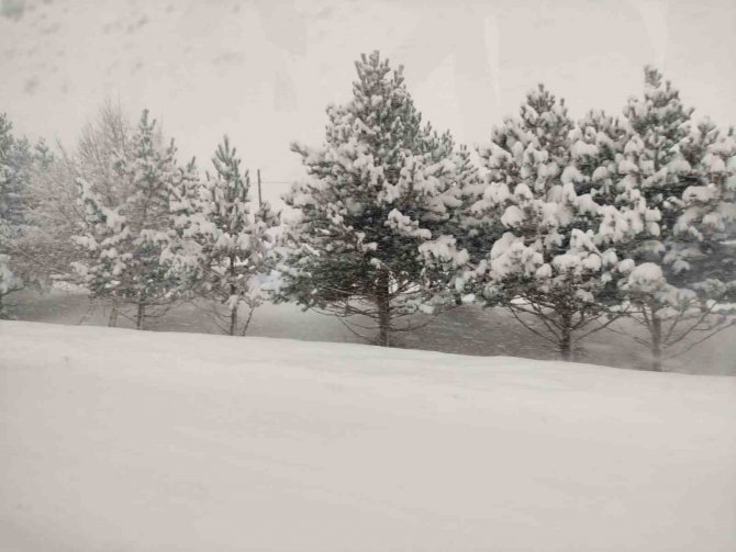 Ardahan’da Kar, Kartpostallık Görüntüler Oluşturdu