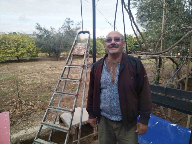 Mersin’de Aç Kalan Domuz Sürüleri Şehir Merkezine İndi