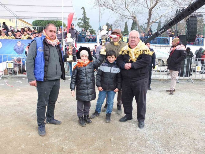 Gömeç’te Deve Güreşi Heyecanı Yaşandı