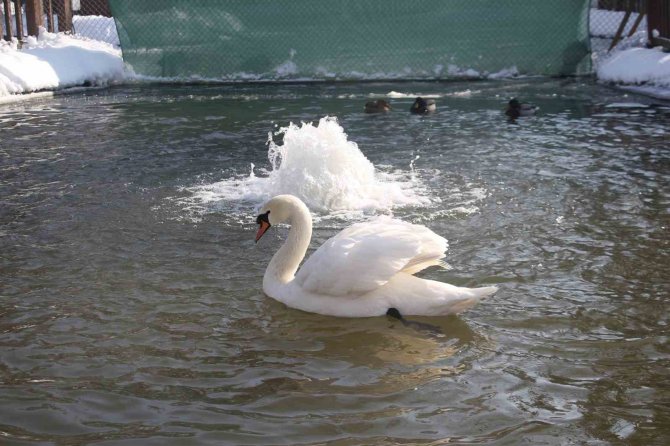 Başkent Beyaz Örtüye Teslim Oldu