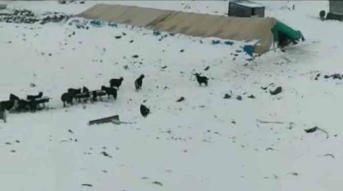 Elazığ’da Su Şebekleri Dondu