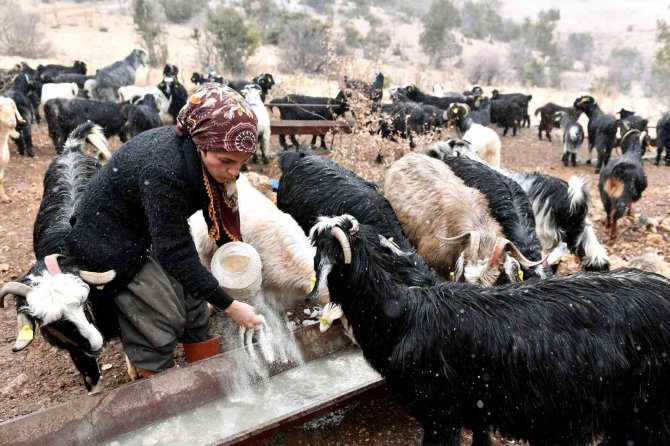 ’Hadi Gel Köyümüze Destek Verelim’ Projesi İle Üretici Oldu