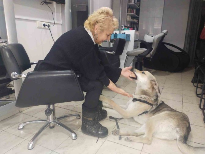 ’Uyutalım’ Dedikleri Köpeği Sevgisiyle Yaşattı