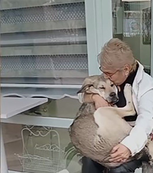 ’Uyutalım’ Dedikleri Köpeği Sevgisiyle Yaşattı