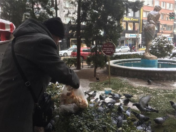 Eskişehirli Hayvanseverler Karlı Havalarda Güvercinleri Unutmadı