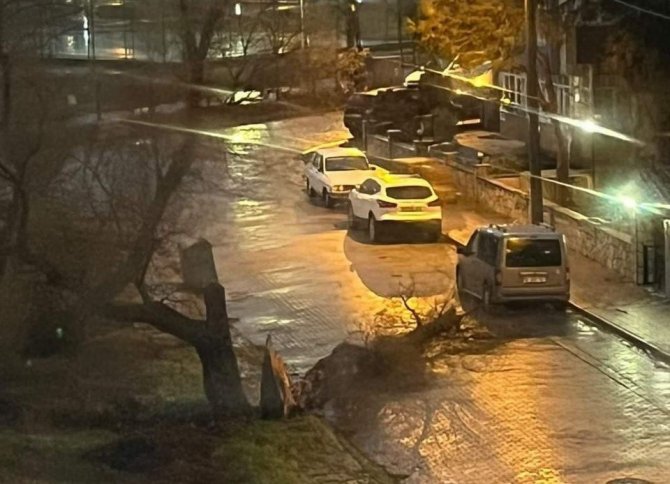 Balıkesir’de Fırtına Nedeni İle Ağaçlar Devrildi, Çatılar Uçtu