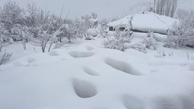 Derecik’te Tek Katlı Evler Kara Gömüldü