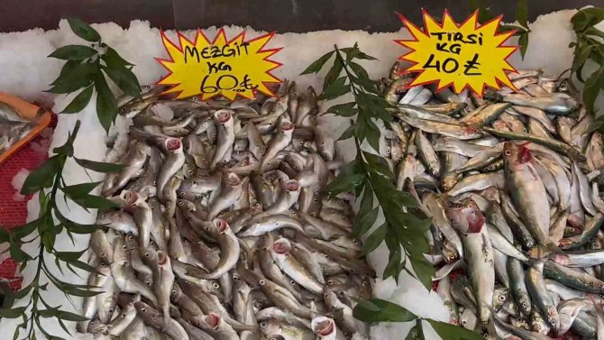 Sıcak Havalar Balıkçı Tezgahlarını Da Etkiledi