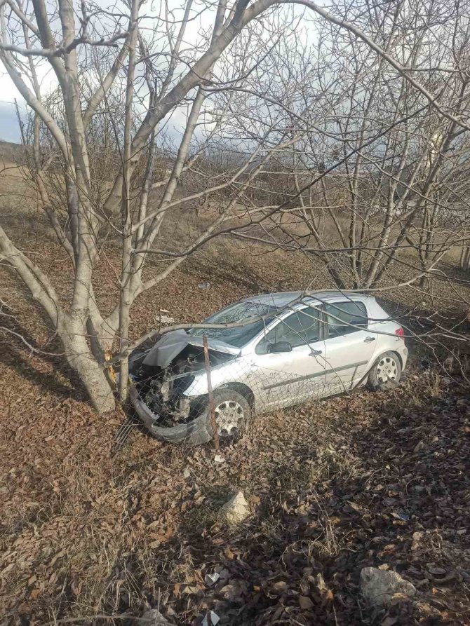 Otomobil Ceviz Ağacına Çarptı: 2 Yaralı
