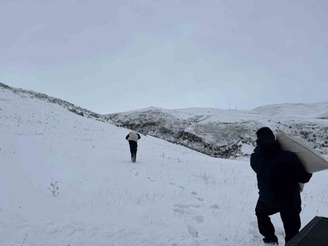 Kars’ta Yaban Hayvanları İçin Doğa Yem Bırakıldı