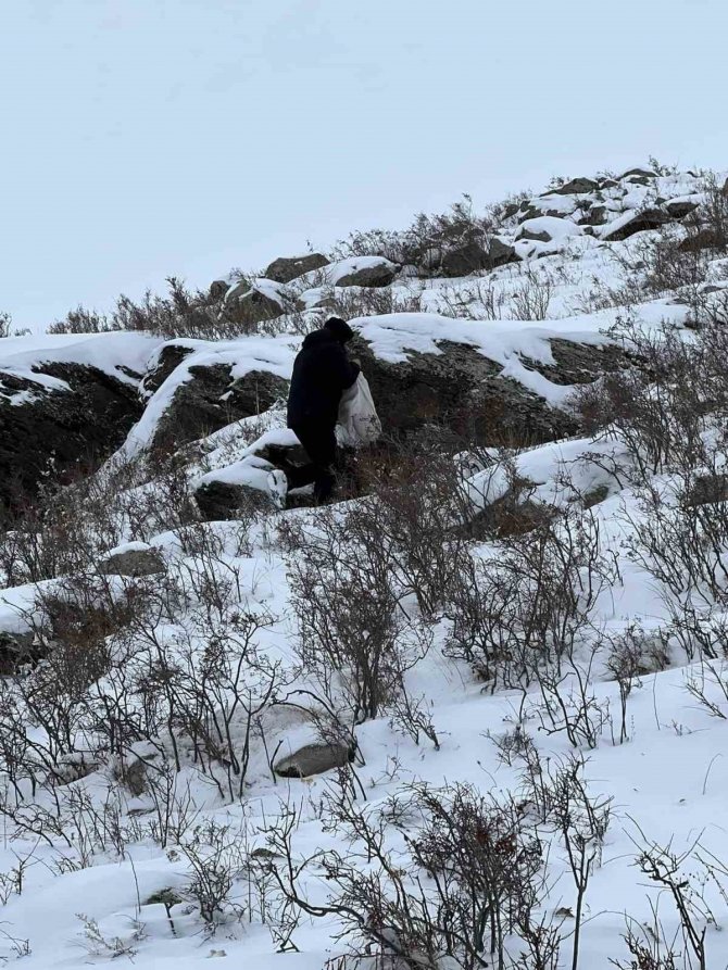 Kars’ta Yaban Hayvanları İçin Doğa Yem Bırakıldı