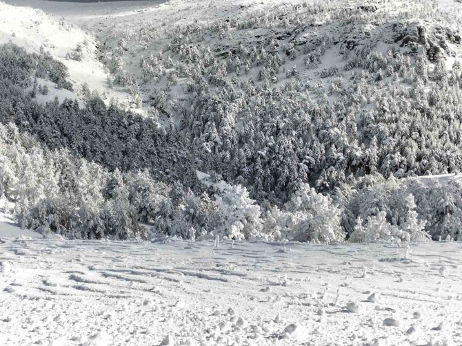 Kazdağları Milli Parkı Kar Yağışı Nedeniyle Geçici Olarak Ziyarete Kapatıldı