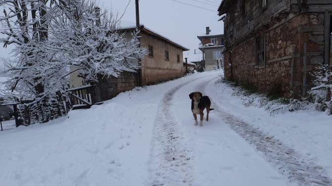 Kepsut Kar Altında