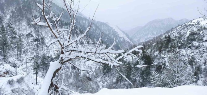 Kuraklık Sonrası Gelen Kar Vatandaşı Mutlu Etti