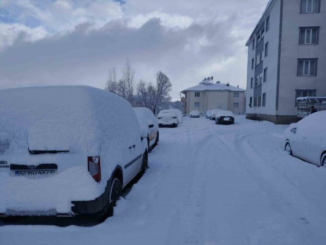 Varto’da Hayat Durdu: 72 Yerleşim Yerinin Yolu Kapandı, Okullar 2 Gün Tatil Edildi