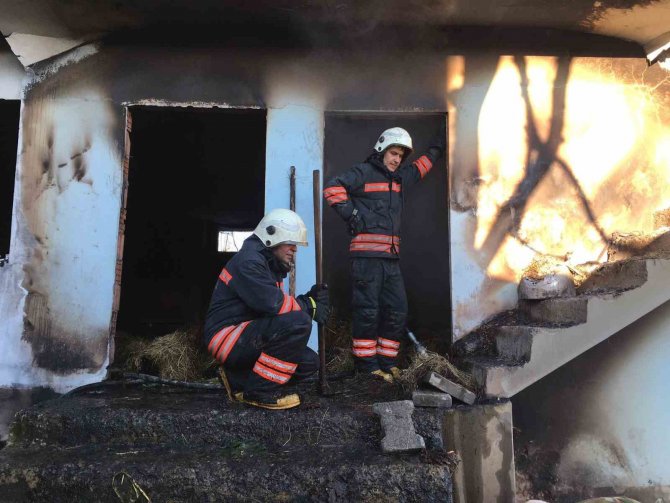 Evin İkinci Katında Yangın Çıktı, Kuzu Ve İnekler İtfaiye Ekiplerince Kurtarıldı