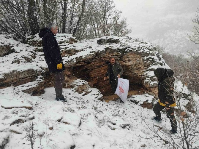 Tunceli’de Yaban Hayvanları İçin Doğaya Yem Bırakıldı