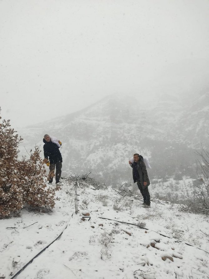 Tunceli’de Yaban Hayvanları İçin Doğaya Yem Bırakıldı