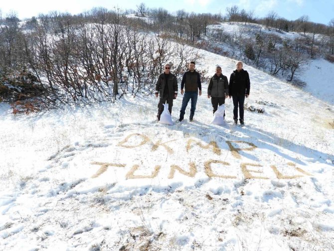 Tunceli’de Yaban Hayvanları İçin Doğaya Yem Bırakıldı