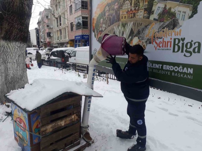 Biga Belediyesi’nden Karlı Havada Sokak Hayvanlarına Mama
