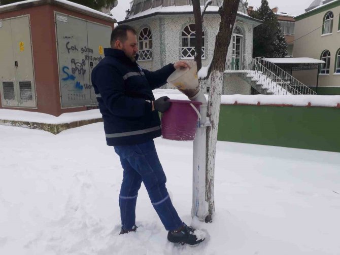 Biga Belediyesi’nden Karlı Havada Sokak Hayvanlarına Mama