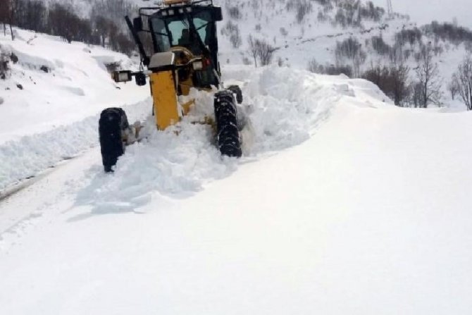 Kar Nedeniyle 22 Köy Yolu Kapandı