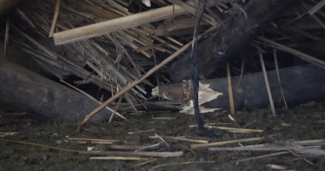 Muş’ta Bir Ahır Çöktü, Evlerde Çatlaklar Oluştu