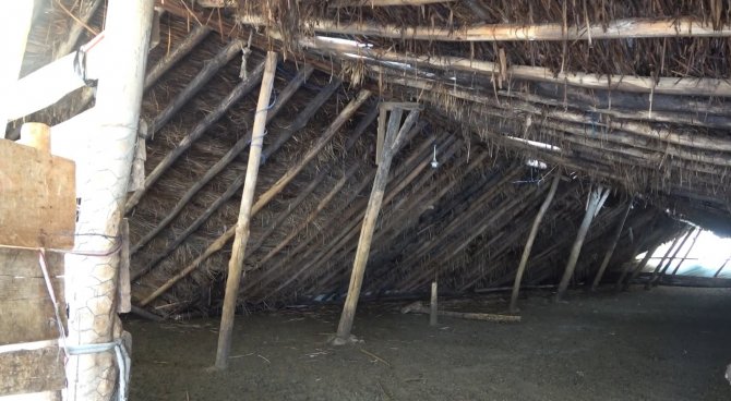 Muş’ta Bir Ahır Çöktü, Evlerde Çatlaklar Oluştu