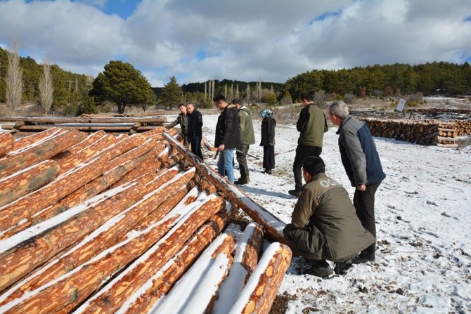 Orman Bölge Müdürü Dingil, “Kaliteli Emval Üretimi Artırılacak”