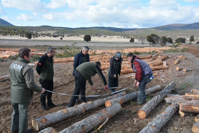 Orman Bölge Müdürü Dingil, “Kaliteli Emval Üretimi Artırılacak”