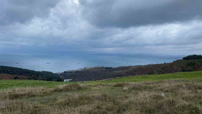 Fırtınadan Kaçan Çok Sayıda Gemi Sinop Limanına Demir Attı