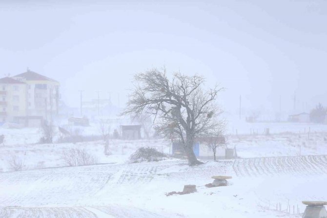 Yılın İlk Kar Yağışı