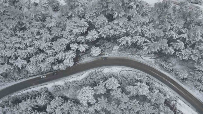 Aydın’da Kara Kış Etkisini Gösterdi