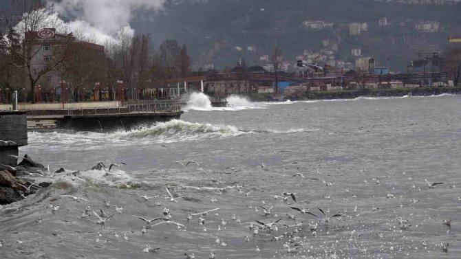 Dev Dalgalar Sahil Şeridini Aştı