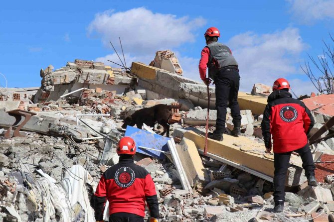 75 Yaşındaki Beyin Cerrahı Enkaz Altında Aranıyor