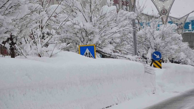 Bitlis’te 251 Köy Yolu Ulaşıma Kapandı