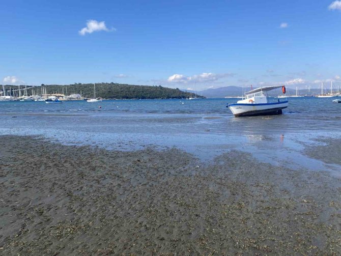 Seferihisar’da Deniz 25 Metre Çekildi