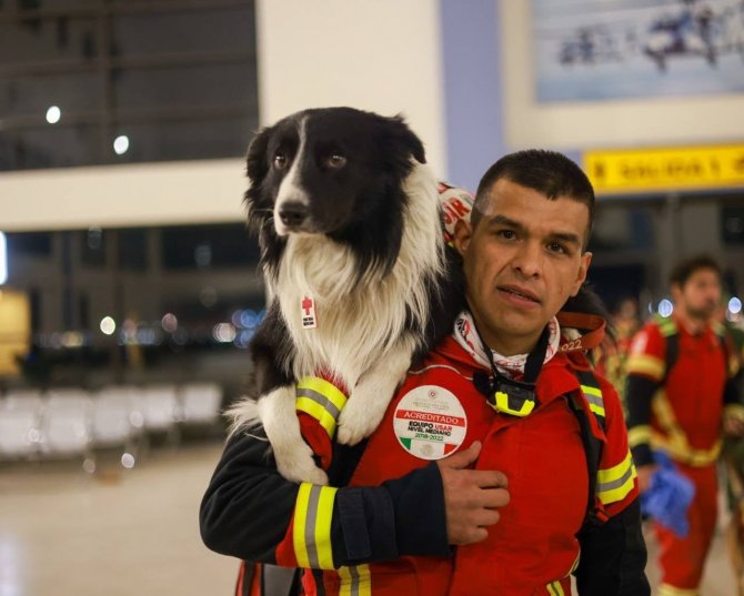 Meksika, Meşhur Arama Kurtarma Köpeklerini Türkiye’ye Gönderdi