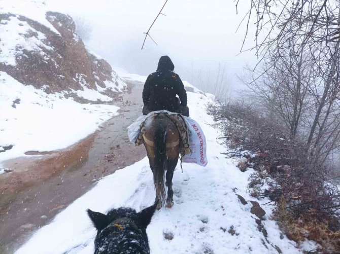 Depremzedelere Katır Sırtında Yardım Taşıyorlar